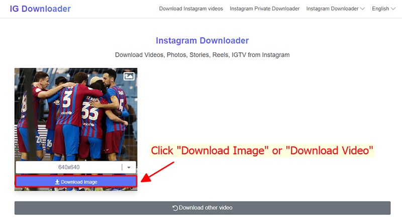 igdownloader