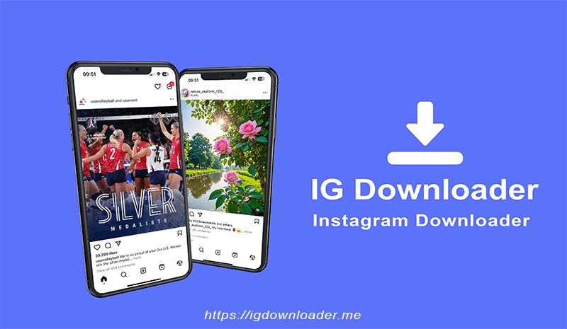 IG Downloader